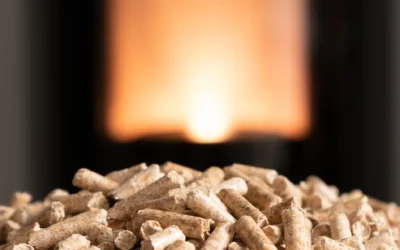 Tout savoir sur les granulés de bois 100 % résineux