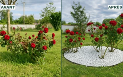 Créer un parterre de galets : guide complet